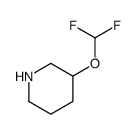 3-(Difluoromethoxy)piperidine Structure