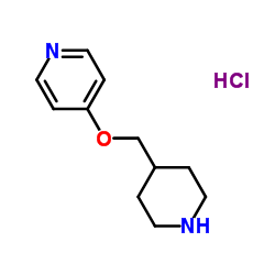 4-(Piperidin-4-ylmethoxy)pyridine hydrochloride Structure