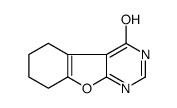 5,6,7,8-Tetrahydro[1]benzofuro[2,3-d]pyrimidin-4(1H)-one结构式