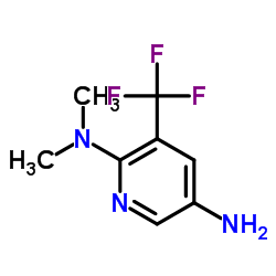 N2,N2-DIMETHYL-3-(TRIFLUOROMETHYL)PYRIDINE-2,5-DIAMINE结构式