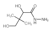 2,4-dihydroxy-3,3-dimethyl-butanehydrazide Structure