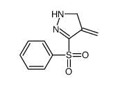 3-(benzenesulfonyl)-4-methylidene-1,5-dihydropyrazole结构式