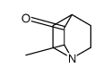 2-methyl-1-azabicyclo[2.2.2]octan-3-one结构式