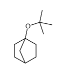 4-[(2-methylpropan-2-yl)oxy]bicyclo[2.2.1]heptane Structure