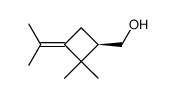 Cyclobutanemethanol, 2,2-dimethyl-3-(1-methylethylidene)-, (1R)- (9CI)结构式
