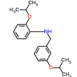 2-Isopropoxy-N-(3-isopropoxybenzyl)aniline Structure