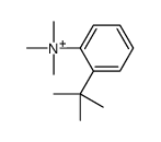 (2-tert-butylphenyl)-trimethylazanium结构式