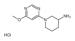 1-(6-Methoxy-pyrimidin-4-yl)-piperidin-3-ylaminehydrochloride picture