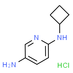 N2-Cyclobutylpyridine-2,5-diamine hydrochloride Structure