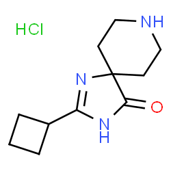 2-Cyclobutyl-1,3,8-triazaspiro[4.5]dec-1-en-4-one hydrochloride picture