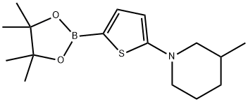 5-(3-Methylpiperidin-1-yl)thiophene-2-boronic acid pinacol ester结构式