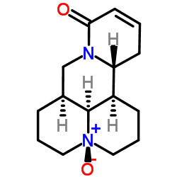 Oxysophocarpine picture
