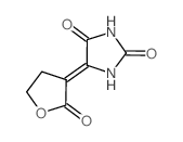 (5Z)-5-(2-oxooxolan-3-ylidene)imidazolidine-2,4-dione Structure