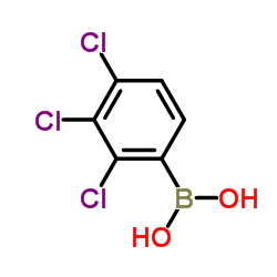 2,3,4-Trichlorophenyl Boronic acid picture