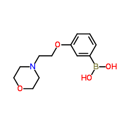 (3-(2-吗啉代乙氧基)苯基)硼酸结构式