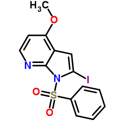 2-Iodo-4-methoxy-1-(phenylsulfonyl)-1H-pyrrolo[2,3-b]pyridine Structure