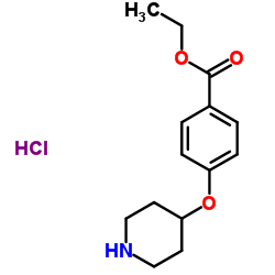4-(哌啶-4-基氧基)苯甲酸乙酯盐酸盐图片
