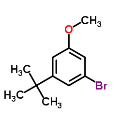 1-Bromo-3-methoxy-5-(2-methyl-2-propanyl)benzene Structure