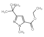 3-(叔丁基)-1-甲基-1H-吡唑-5-羧酸乙酯图片