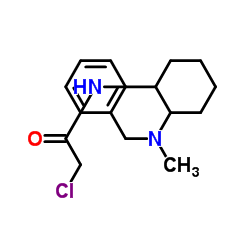 N-{2-[Benzyl(methyl)amino]cyclohexyl}-2-chloroacetamide结构式