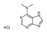 dimethyl-(7(9)H-purin-6-yl)-amine; dihydrochloride Structure