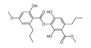 m-scrobiculin picture