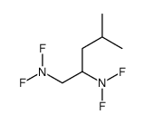 1-N,1-N,2-N,2-N-tetrafluoro-4-methylpentane-1,2-diamine Structure