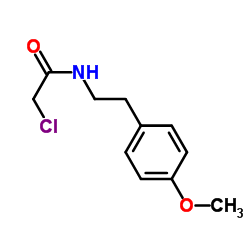 2-Chloro-N-[2-(4-methoxyphenyl)ethyl]acetamide picture
