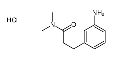 3-(3-aminophenyl)-N,N-dimethylpropanamide(SALTDATA: 2HCl) Structure