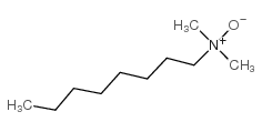 N-氧代-N,N-二甲基-1-辛胺图片