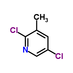 2,5-二氯-3-甲基吡啶图片