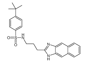 Benzenesulfonamide, 4-(1,1-dimethylethyl)-N-[3-(1H-naphth[2,3-d]imidazol-2-yl)propyl]- (9CI)结构式