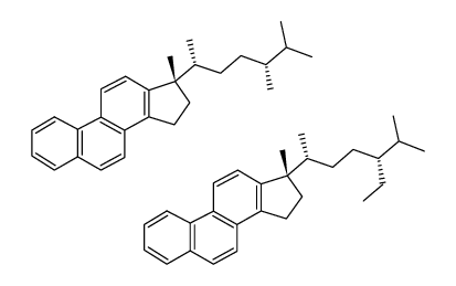 c27/c28 triaromatic steranes Structure