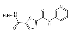 5-(hydrazinecarbonyl)-N-pyridin-3-ylthiophene-2-carboxamide Structure