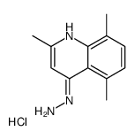 4-Hydrazino-2,5,8-trimethylquinoline hydrochloride picture