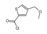 2-Thiophenecarbonylchloride,4-(methoxymethyl)-(9CI) Structure