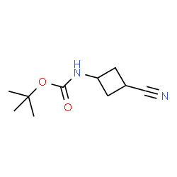 tert-butyl N-(3-cyanocyclobutyl)carbamate picture