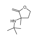 N-tert-butyl-3-methyl-2-methylideneoxolan-3-amine Structure