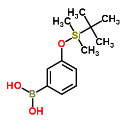 3-(t-butyldimethylsilyloxy)phenylboronic acid Structure
