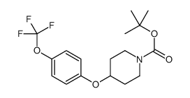 tert-butyl 4-[4-(trifluoromethoxy)phenoxy]piperidine-1-carboxylate Structure