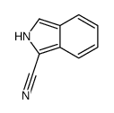 2H-isoindole-1-carbonitrile结构式