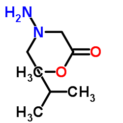 Acetic acid, [1-(2-methylpropyl)hydrazino]-, methyl ester (9CI)结构式