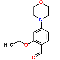 2-ETHOXY-4-MORPHOLIN-4-YL-BENZALDEHYDE结构式
