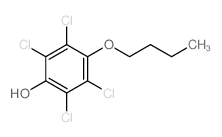 4-butoxy-2,3,5,6-tetrachloro-phenol Structure