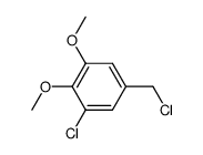 1-chloro-5-(chloromethyl)-2,3-dimethoxybenzene Structure