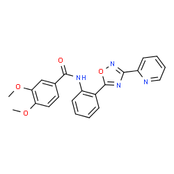 3,4-Dimethoxy-N-{2-[3-(2-pyridinyl)-1,2,4-oxadiazol-5-yl]phenyl}benzamide picture