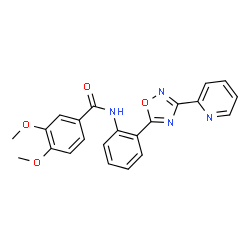 3,4-Dimethoxy-N-{2-[3-(2-pyridinyl)-1,2,4-oxadiazol-5-yl]phenyl}benzamide structure