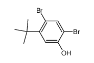 2,4-dibromo-5-t-butylphenol结构式