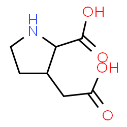 2-carboxy-3-pyrrolidineacetic acid structure