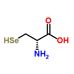 176300-66-6 structure